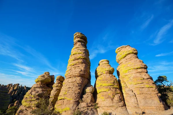 Paisaje Inusual Monumento Nacional Chiricahua Arizona —  Fotos de Stock