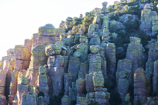 アメリカ合衆国アリゾナ州チリカワ国立記念碑の珍しい風景 — ストック写真
