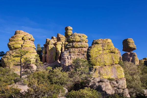 Paysage Insolite Monument National Chiricahua Arizona Usa — Photo