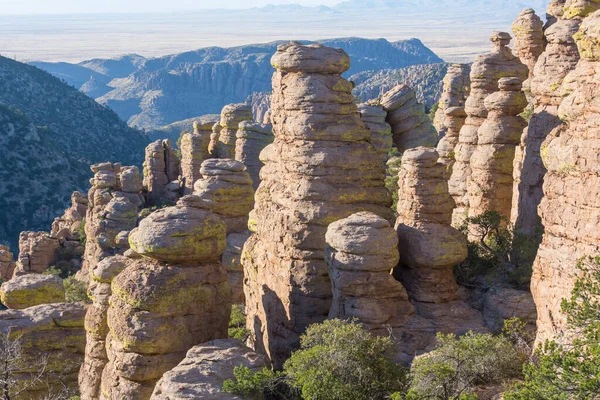 Незвичайний Пейзаж Національному Пам Ятнику Чірікахуа Штат Арізона Сша — стокове фото