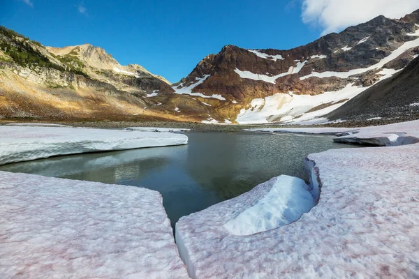 여름의 지대에 호수가 아름다운 — 스톡 사진