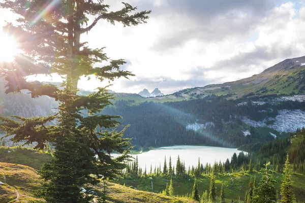 Gelassenheit See Den Bergen Der Sommersaison Schöne Naturlandschaften — Stockfoto