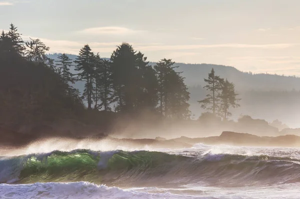 Сцена Захід Сонця Океанічному Пляжі Природа Подорожі Фону — стокове фото