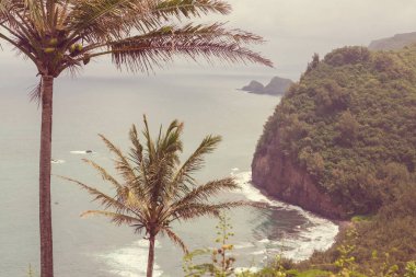 Hawaii adasındaki tropik manzaralar