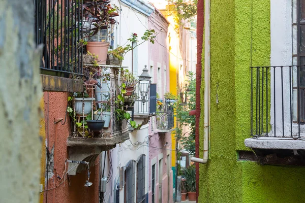 Bloempotten Kleurrijke Straten Van Guanajuato Mexico — Stockfoto