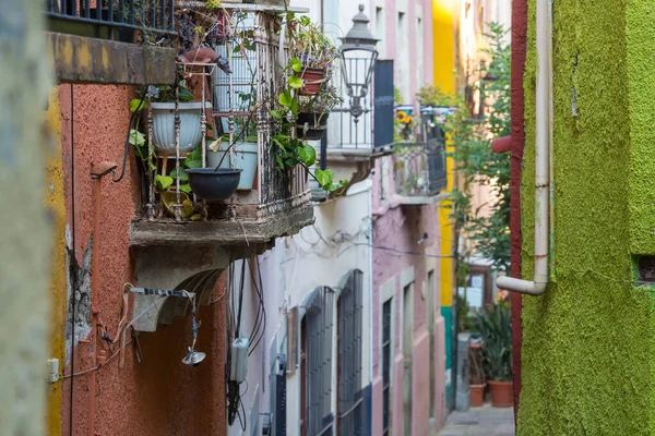 Blomkrukor Färgglada Gatorna Guanajuato Mexiko — Stockfoto