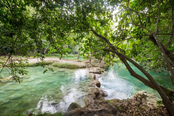 Tropikalna Rzeka Zielonej Dżungli — Zdjęcie stockowe