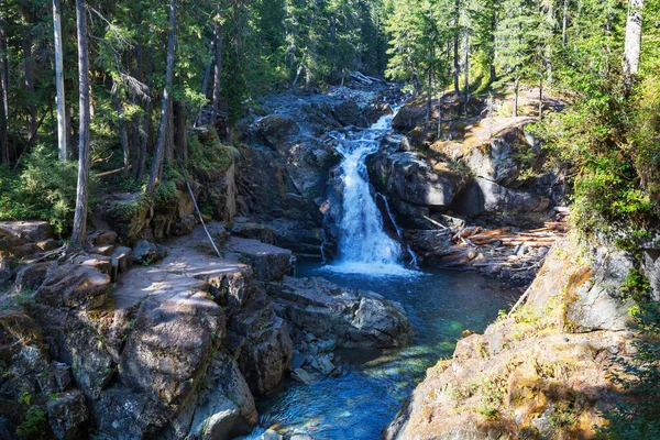 Waterfall Beautiful Green Forest — Stock Photo, Image