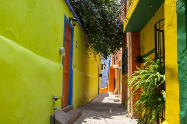 Meksika 'nın Guanajuato kasabasının renkli koloni tarzı evleri.