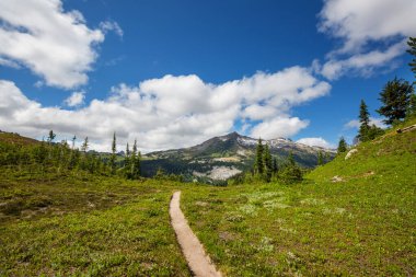 North Cascade Range, Washington, ABD 'deki güzel dağ zirvesi.