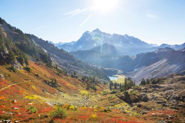 Mt. Baker recreation area, Washington, USA in early summer