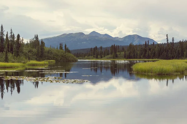 Lago Serenità Alaska Tundra — Foto Stock