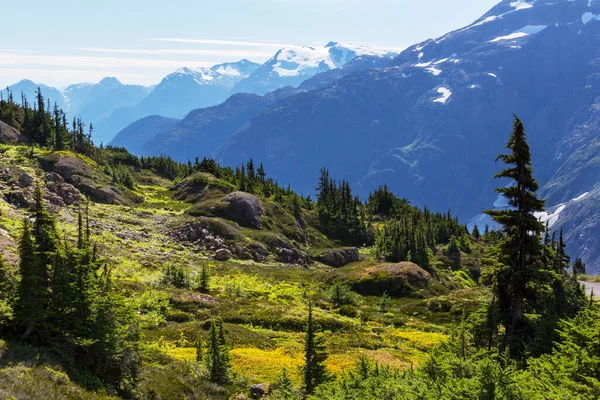 Vista Pitoresca Montanha Nas Montanhas Rochosas Canadenses Temporada Verão — Fotografia de Stock