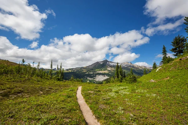 Krásný Vrchol Hory North Cascade Range Washington Usa — Stock fotografie