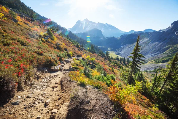 Prachtig Berglandschap Mount Baker Recreational Area Washington Verenigde Staten — Stockfoto