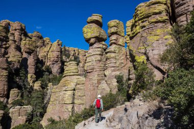 Chiricahua Ulusal Anıtı 'nda yürüyüş yapan adamlar, Arizona, ABD