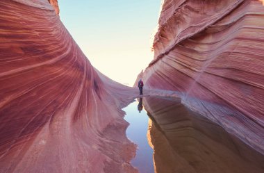 The Wave, Arizona, Vermillion Cliffs, Paria Canyon State Park, ABD. İnanılmaz doğal bir geçmiş.