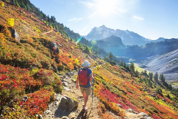 秋の山の中でハイキング 秋のテーマ — ストック写真