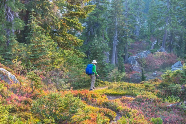秋の山の中でハイキング 秋のテーマ — ストック写真