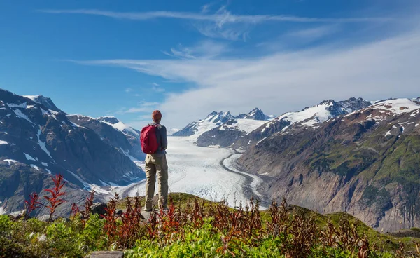 Vandrare Kanadensiska Berg Vandring Den Populära Fritidsaktiviteten Nordamerika Det Finns — Stockfoto