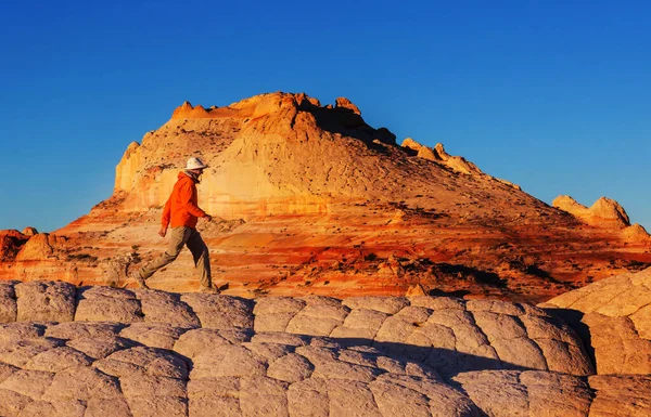 Hike Utah Mountains Hiking Unusual Natural Landscapes Fantastic Forms Sandstone — Stock Photo, Image
