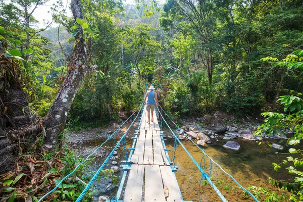 Tourist Αναστολή Γέφυρα Στην Τροπική Ζούγκλα Ονδούρα — Φωτογραφία Αρχείου