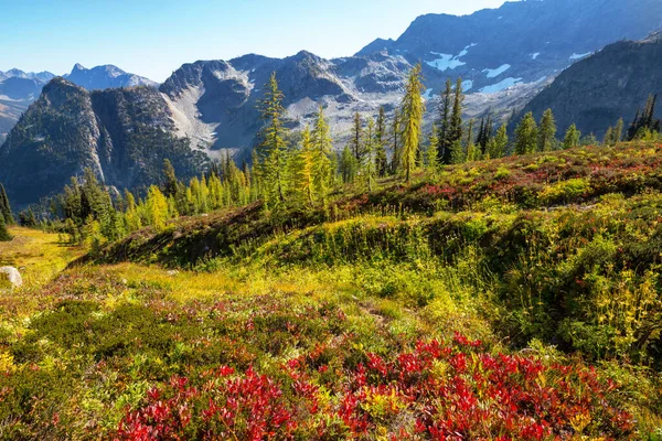 Όμορφη Κορυφή Του Βουνού Στη Βόρεια Σειρά Cascade Ουάσιγκτον Ηπα — Φωτογραφία Αρχείου