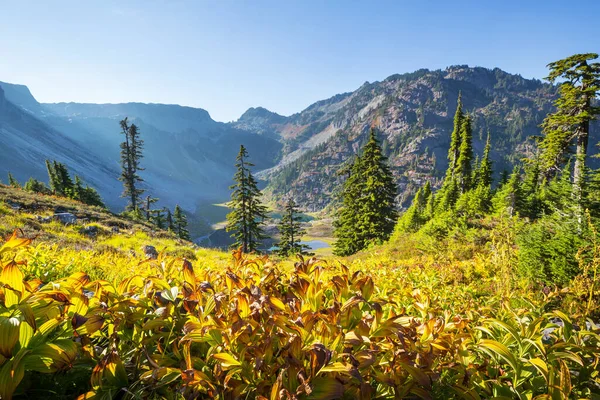 워싱턴주 캐스케이드 산맥의 아름다운 산봉우리들 — 스톡 사진