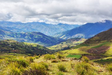 Yeşil Kolombiya dağlarındaki kırsal alanlar