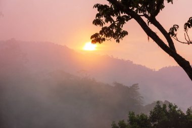 Honduras 'taki güzel tropikal manzaralar. Ormandaki yeşil dağlar.