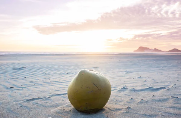 Kokosnuss Tropischen Sonnenuntergang — Stockfoto