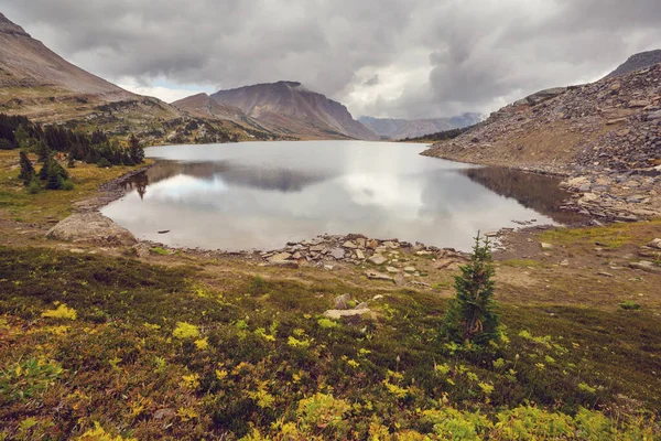Живописный Вид Горы Скалистых Горах Канады Летний Сезон — стоковое фото