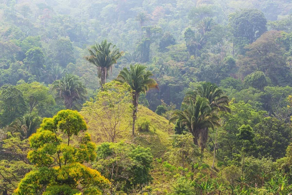 ホンジュラスの美しい熱帯の風景 ジャングルの緑の山々 — ストック写真