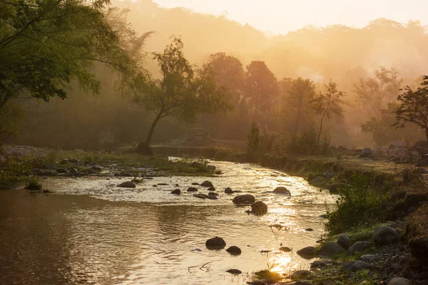 Όμορφο Ποτάμι Στο Ομιχλώδες Πρωινό — Φωτογραφία Αρχείου
