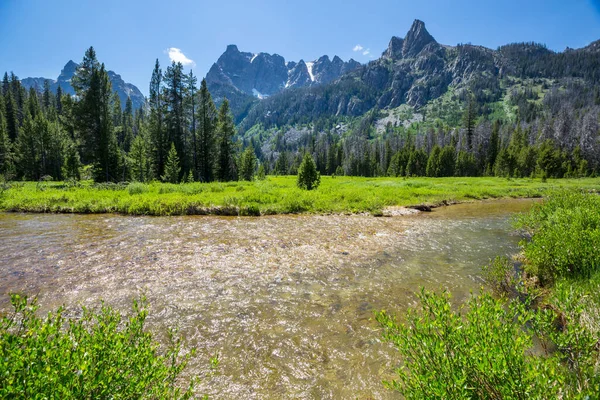 Mountain River Sziklás Hegységben Usa — Stock Fotó