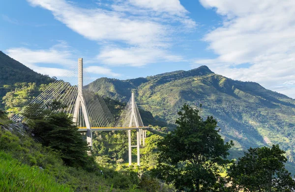 Moderní Most Kolumbijských Horách — Stock fotografie