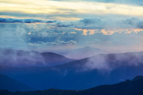 Туманные Зеленые Горы Кордилья Колумбии Южная Америка — стоковое фото
