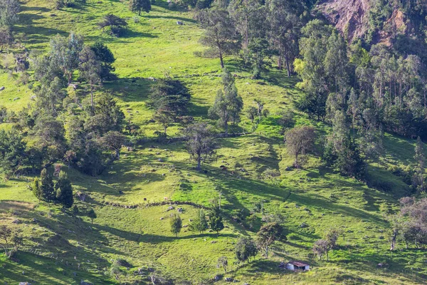 Landsbygdslandskap Gröna Colombiska Berg — Stockfoto
