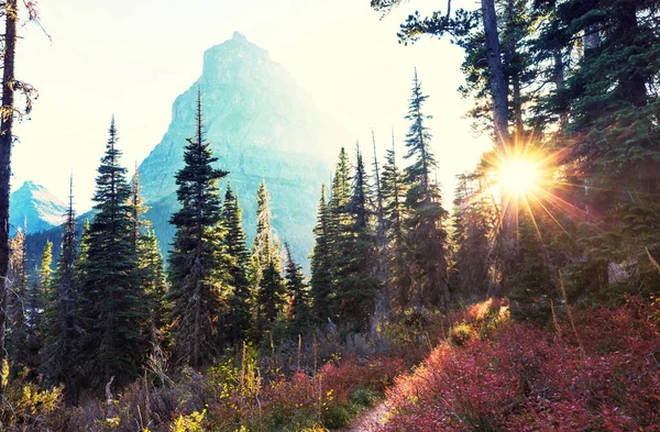 Picturesque Rocky Peaks Glacier National Park Montana Usa Autumn Season — Stock Photo, Image