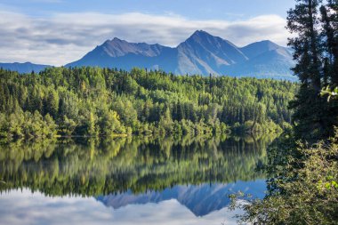 Alaska tundrasında dinginlik gölü.
