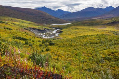 Yazın Alaska 'nın Picturesque Dağları. Kar, kütleleri, buzulları ve kayalık tepeleri kapladı. Güzel doğal arkaplan.