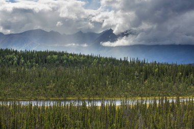 Yazın Alaska 'nın Picturesque Dağları. Kar, kütleleri, buzulları ve kayalık tepeleri kapladı. Güzel doğal arkaplan.