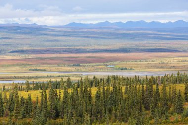Kutup dairesinin üstündeki Tundra manzaraları