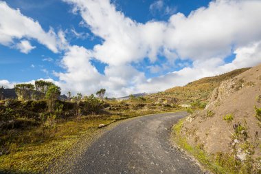 Dağlarda manzaralı bir yol. Seyahat arkaplanı.
