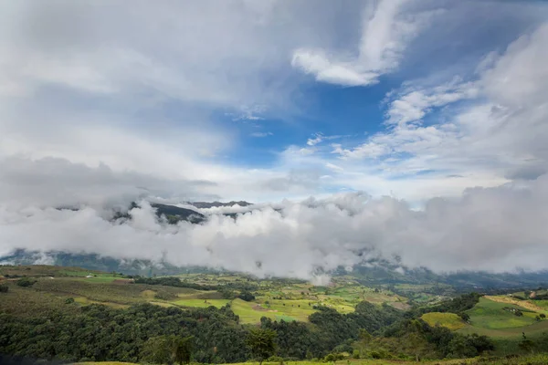 미덥고 코르디예라 남아메리카 콜롬비아 — 스톡 사진
