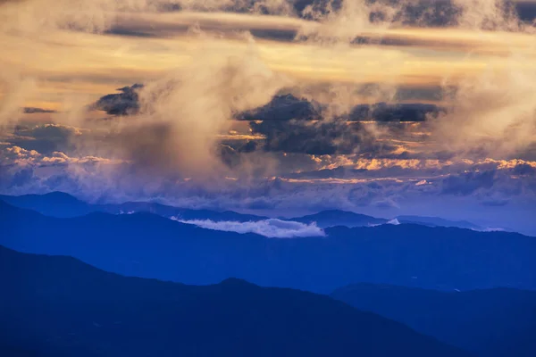 Misty Green Cordillera Bergen Colombië Zuid Amerika — Stockfoto
