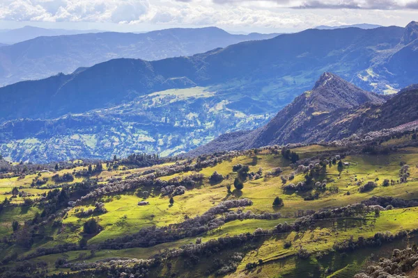 Landdistrikterne Landskaber Grønne Colombianske Bjerge - Stock-foto