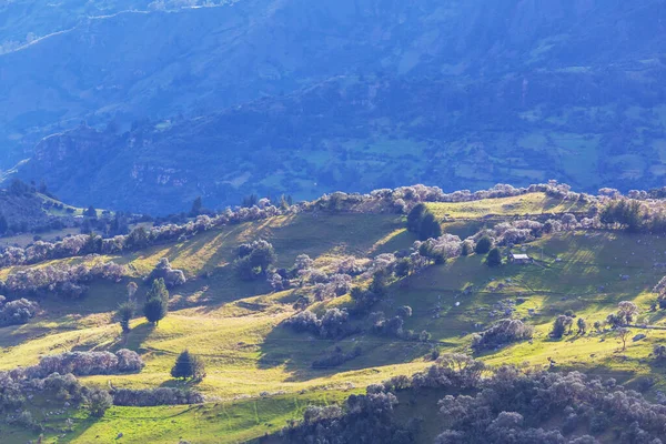 Сельские Пейзажи Зеленых Колумбийских Горах — стоковое фото