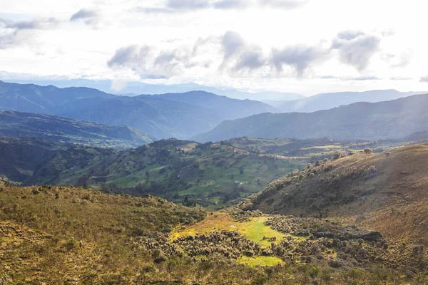 Сільські Пейзажі Зелених Колумбійських Горах — стокове фото