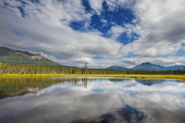 Sereniteit Meer Alaska Toendra — Stockfoto